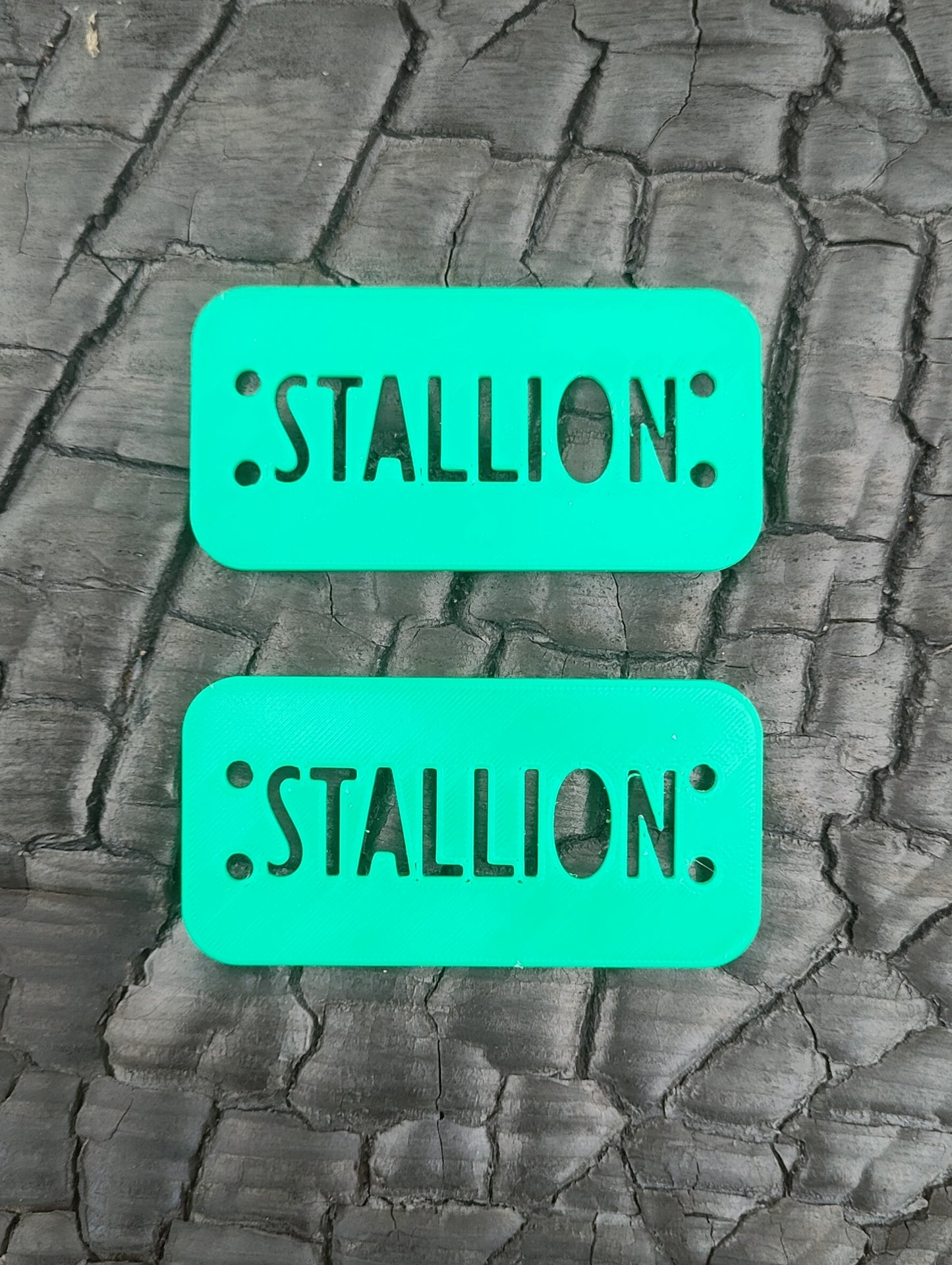 Stallion Discs