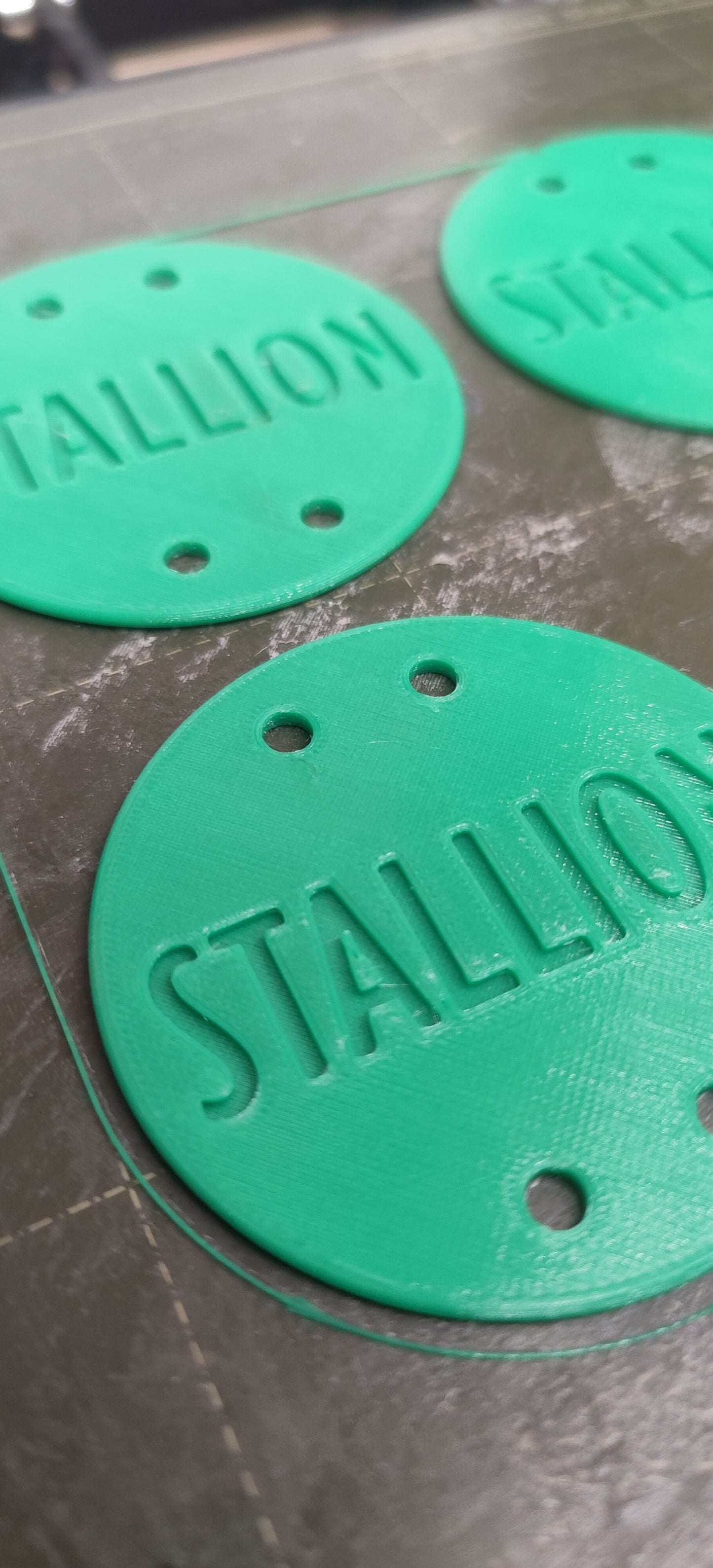 Stallion Discs
