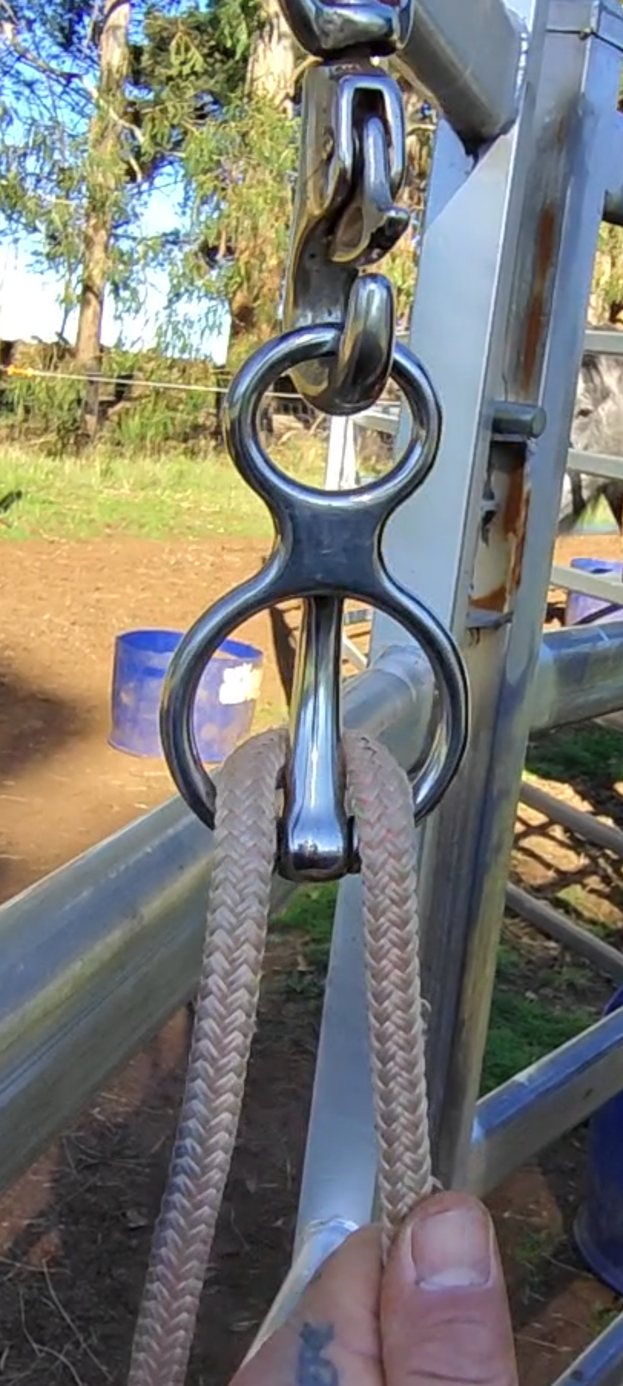 HORSE TIE RING