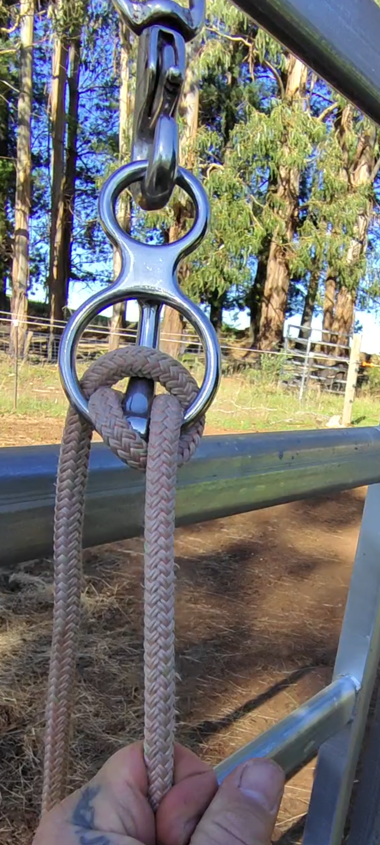 HORSE TIE RING